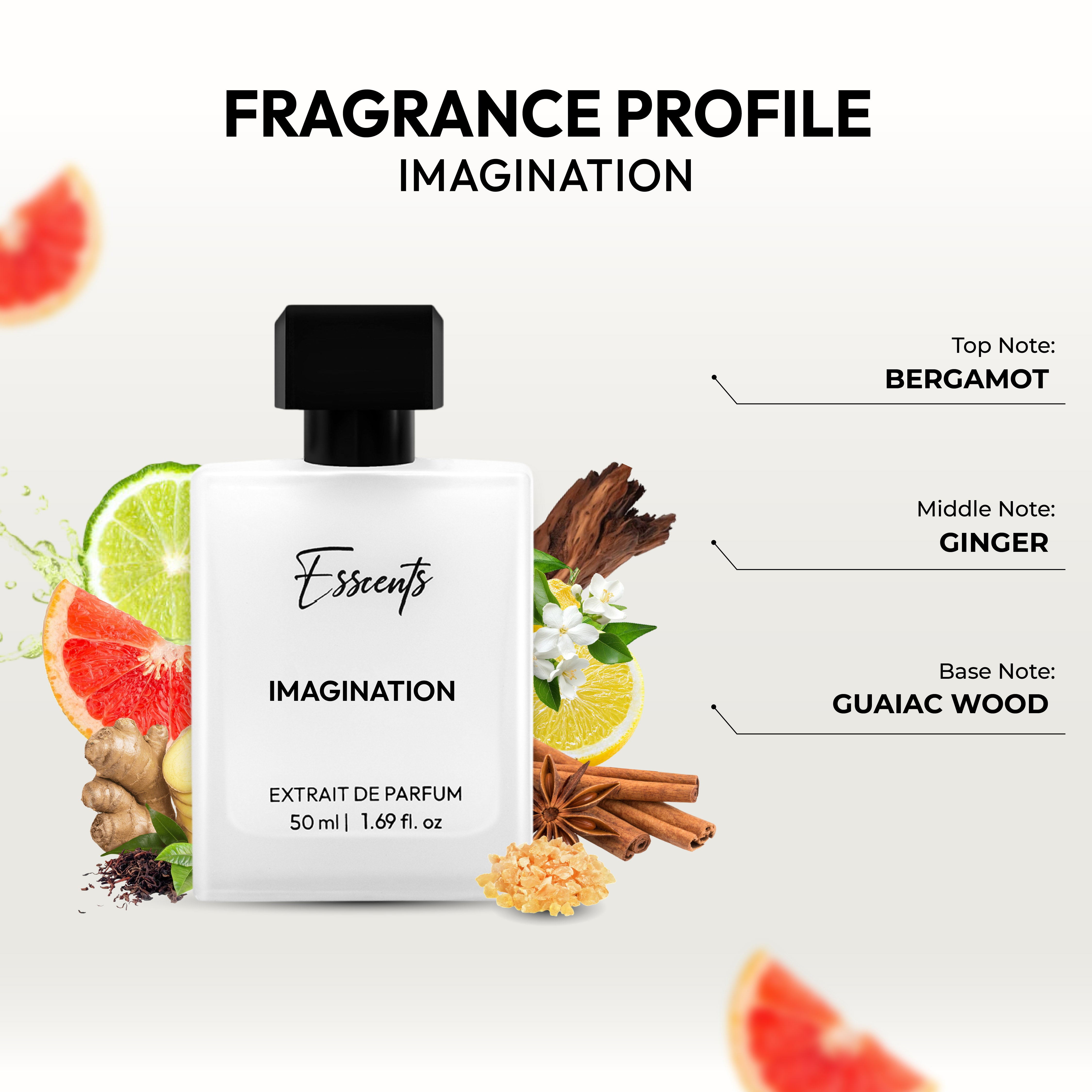 Imagination - Inspired By Louis Vuitton Imagination