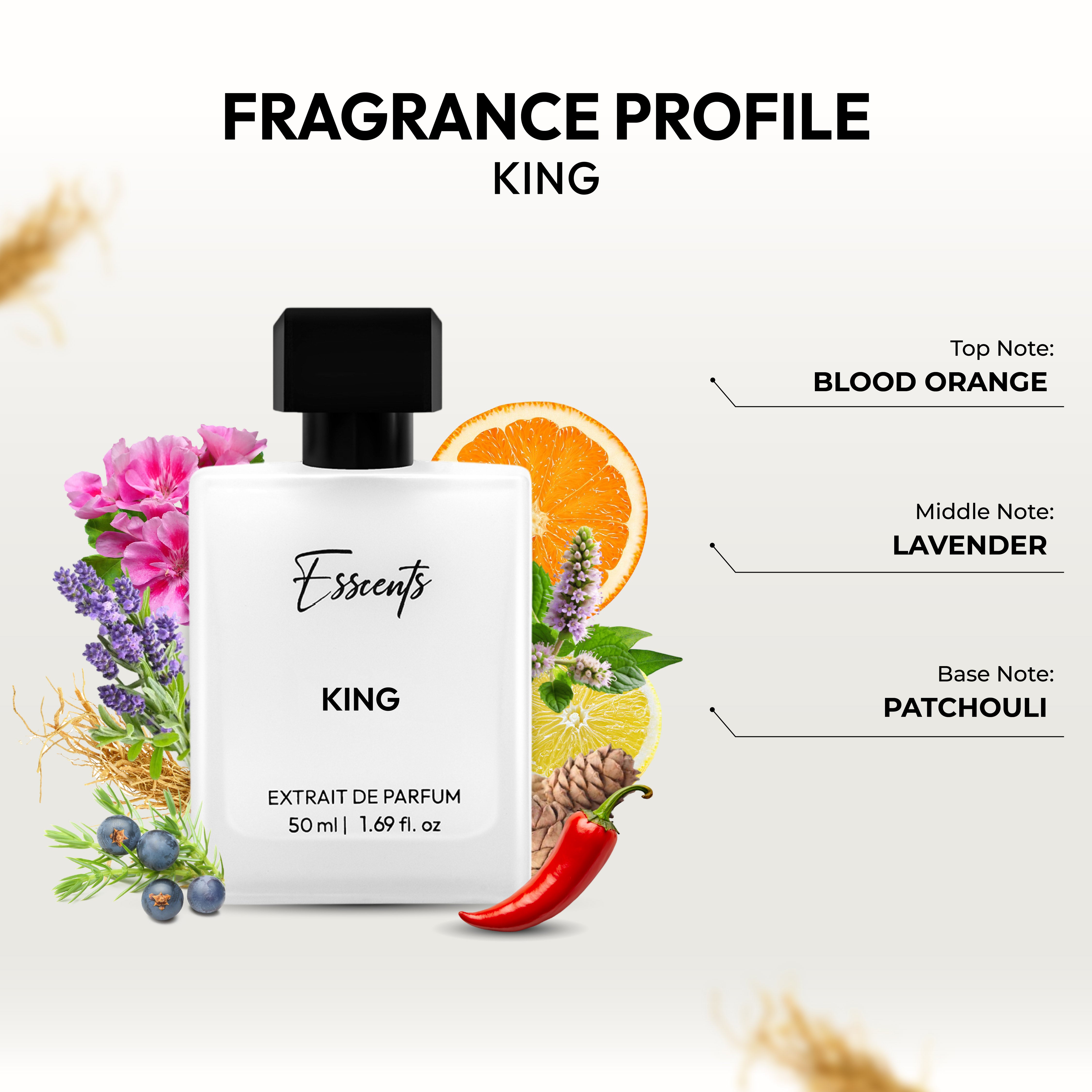 King - Inspired By K by Dol*e & Gabb*na (Worn By Hrithik Roshan)