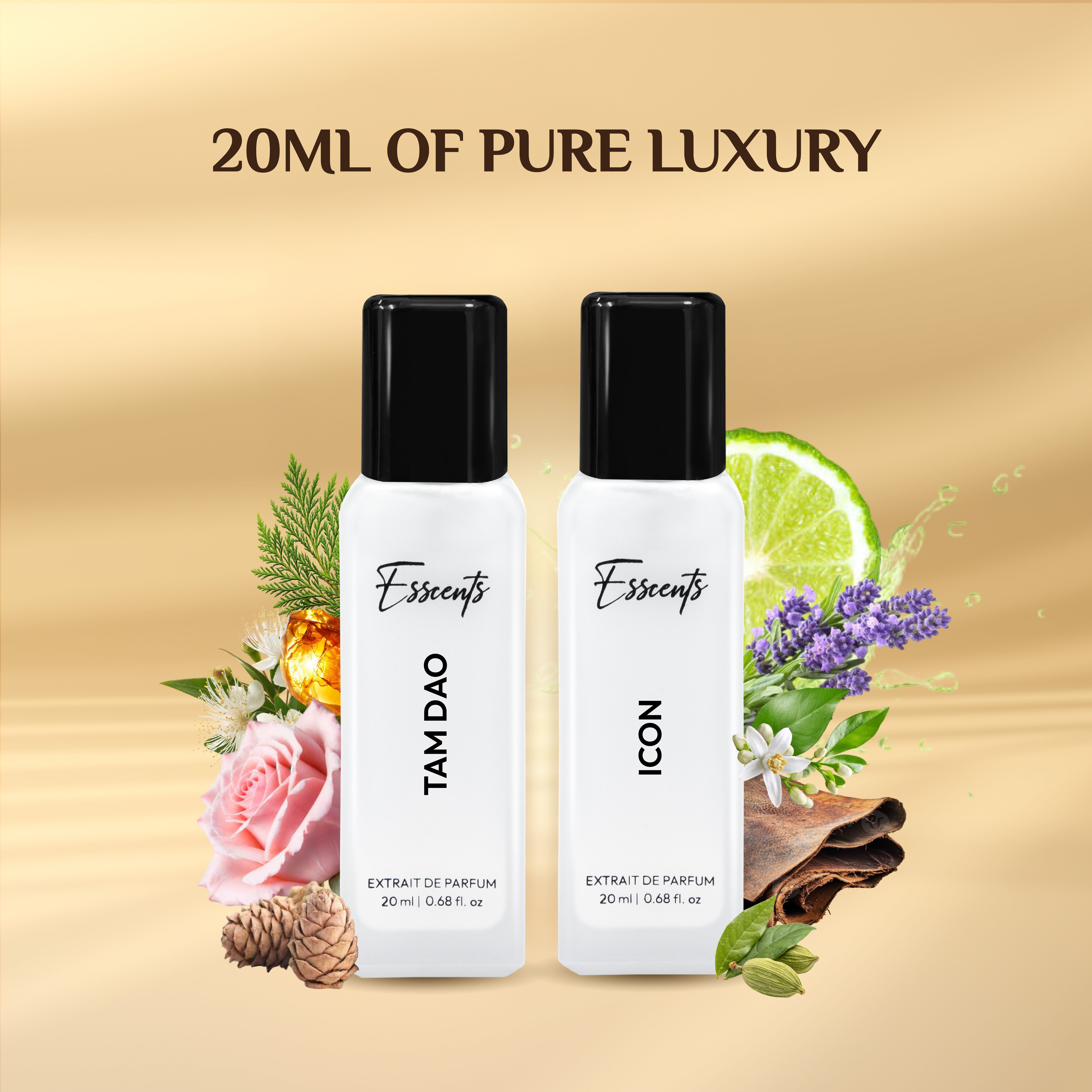 Smell Like a Celebrity (Pack of 6)