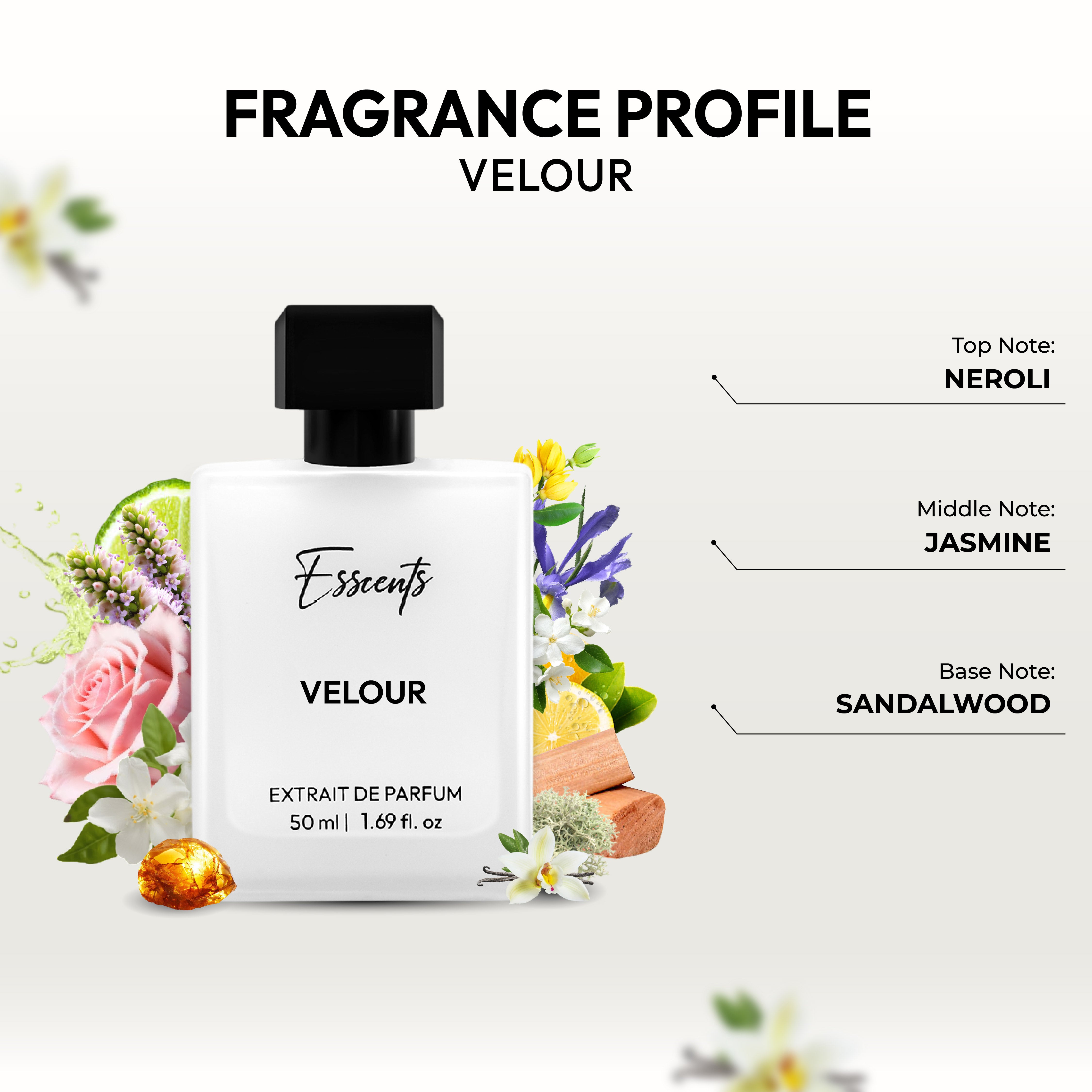 Velour - Inspired By Chanel No. 5